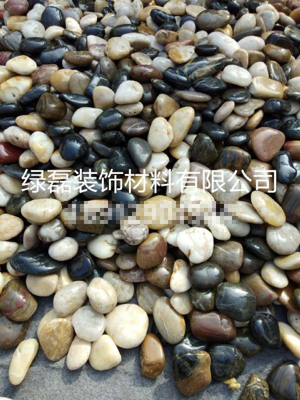 ���׹����2-4cm