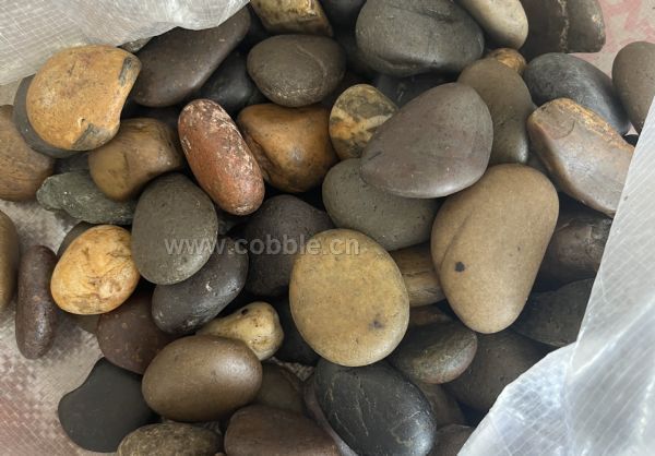 �˹���ѡ�������2-4cm