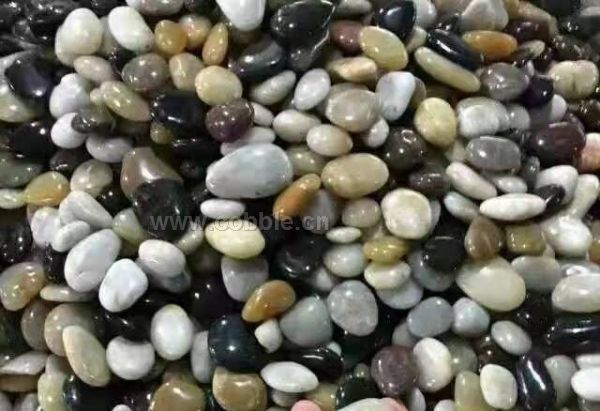 ��Ʒ���2-4cm