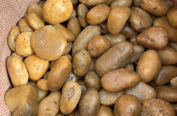 ��Ʒ����