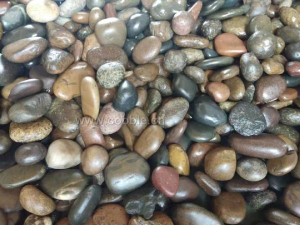 ���ף�����