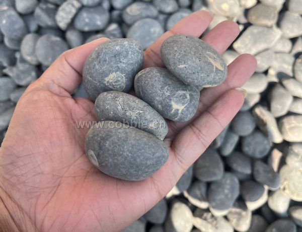 �ڻ�ɫ����ʯ