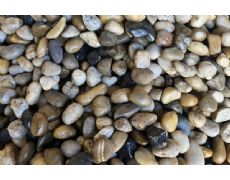 �������2-4cm